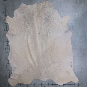 BGD4753