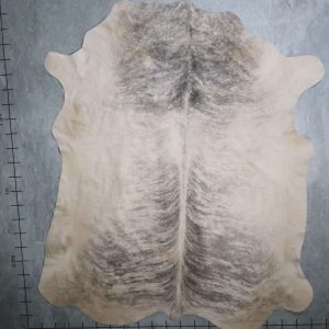 BGS2637