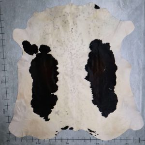 BGD4747