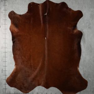 BGD4896