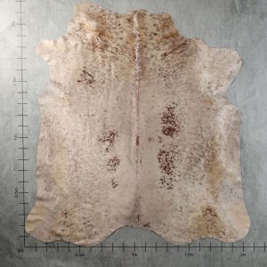 BGD4952