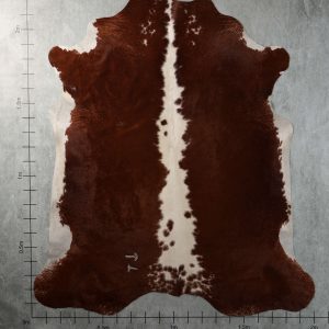 BGD4955