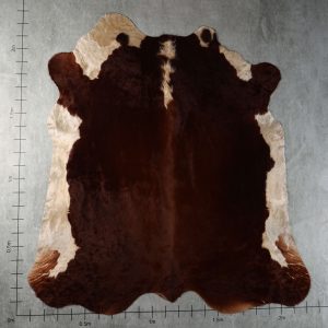 BGD4962