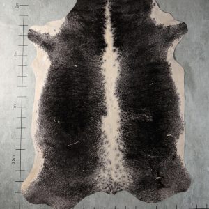 BGD4963