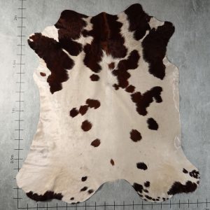 BGD4964
